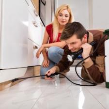 4 Reasons To Hire A Pest Control Company